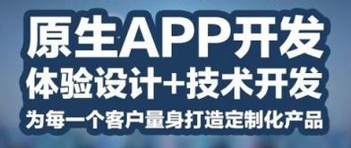 桂林软件定制开发 系统定制开发 微信营销商城 小程序 公众号